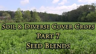 Soil amp Diverse Cover Crops Part 7 Seed Blends [upl. by Ardnassak]