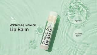 SEAWEED ORGANICS Moisturising seaweed Lip Balm skincare lipcare lipconditioner [upl. by Macri]