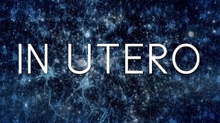 IN UTERO Documentary Explores Epigenetics amp Unconscious Memories [upl. by Nade]