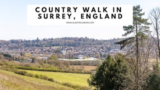 COUNTRY WALK IN SURREY ENGLAND  Surrey Hills  North Downs Way  Surrey Walk  Walk the Chalk [upl. by Nahshon722]