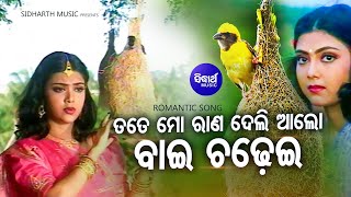 Tate Mo Raana Deli Alo Baichadhei Superhit Sad Song  Namita Agrawal  MainaBobby Sidharth Music [upl. by Pillow]