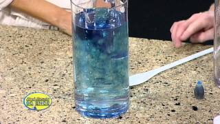 Back to School Science  Cool Experiments [upl. by Mazman]