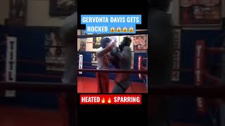 WOW GERVONTA DAVIS 😱GETS ROCKED A MULTIPLE TIMES IN HEATED 🔥🥶SPARRING ELIJAH PIERCE [upl. by Auqinimod968]