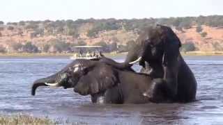 Okavango  Africas World of Water [upl. by Christoph]