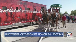 Budweiser Clydesdales honor 911 victims [upl. by Treve984]