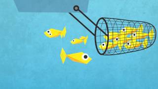 Explanimation Overfishing [upl. by Ennaer]