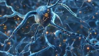 Inside Neurochemistry How the Brain Creates Reality [upl. by Williamsen]