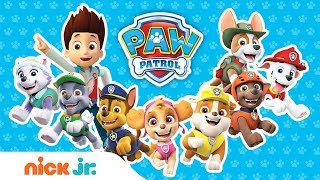 How Many PAW Patrol Friends Can You Name in Ft Chase Chickaletta amp More  PAW Patrol  Nick Jr [upl. by Novej623]