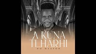 Themba Nyathi the cool hero new album 💔❤🔥 Akuna tlharhi na rinwe theres no weapon [upl. by Eirotal94]