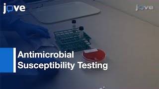 Antimicrobial Susceptibility Testing Mycobacterium Tuberculosis Complex I Protocol Preview [upl. by Ailahs]