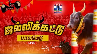 🔴LIVE பாலமேடு ஜல்லிக்கட்டு சீறிப்பாயும் காளைகள்  Palamedu Jallikattu Live 2025 [upl. by Acinaj]