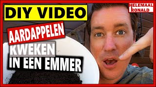 AARDAPPELEN KWEKEN IN EEN EMMER  DIY VIDEO  Aardappelen poten in potten en emmers [upl. by Ailyt]