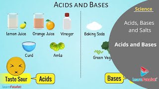 Acids Bases and Salts Class 7 Science Chapter 5  Acids and Bases [upl. by Aldora]