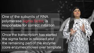 Full Lecture  Biology 12  Chapter 20  Chromosomes and DNA  Transcription  Punjab  FSC  Hippo [upl. by Yruok]