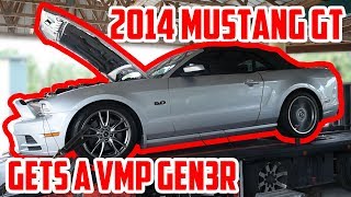 VMP GEN3R Dyno Results On A 2014 Mustang GT [upl. by Jack]