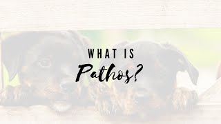 What Is Pathos [upl. by Bennir159]