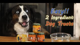 EASY TWO 2 INGREDIENT HOMEMADE DOG TREATS [upl. by Aloibaf]