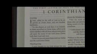 1 Corinthians chapter 1 ESV [upl. by Lockhart900]