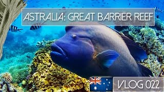 AUSTRALIA QUEENSLAND  THE GREAT BARRIER REEF  VLOG 022 [upl. by Wayland]