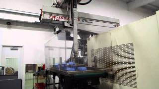 Star Automation TW1000 Full Servo Robot [upl. by Millham]