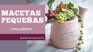 Como Plantar Suculentas en Macetas Pequeñas tips [upl. by Ress]