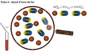 Expérience  Équilibre dynamique de la complexation du thiocyanate de fer [upl. by Rape635]