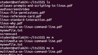 Linux Command Line  Directories and Files [upl. by Edac]