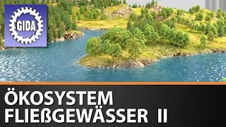 Trailer  Ökosystem Fließgewässer II  Biologie  Schulfilm [upl. by Mahoney597]