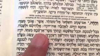 Hebrew Reading Practice Shema second paragraph [upl. by Duggan]