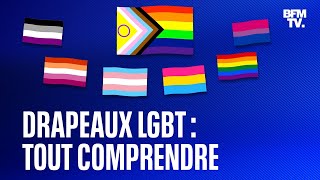 Marche des fiertés que signifient les différents drapeaux LGBT [upl. by Kered]