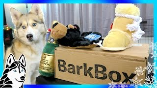 BARK BOX UNBOXING with Gone to the Snow Dogs [upl. by Lowndes305]