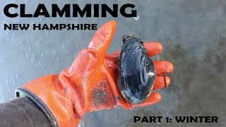 Clamming New Hampshire part 1 winter [upl. by Bomke]