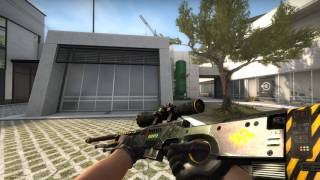 AWP Phobos  Factory New  Gamma Case  CSGO Skin Showcase [upl. by Dara]