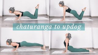 HOW TO CHATURANGA TO UPWARD DOG  Chaturanga dandasana  upward facing dog [upl. by Ahseka677]