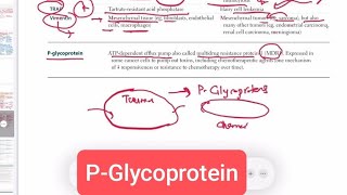 PGlycoprotein Pathology 51  First Aid USMLE Step 1 in UrduHindi [upl. by Berkeley39]