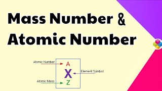 Atomic Number amp Mass Number  Structure of Atom  Class 11 amp 12  Science [upl. by Coppinger74]