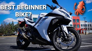 KAWASAKI NINJA 300 REVIEW  BEST BEGINNER BIKE [upl. by Adair]