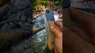 Silky Pocketboy Outback 17010 Bushcraft Tool bushcraft nature woodcraft survival camping saw [upl. by Vanessa]