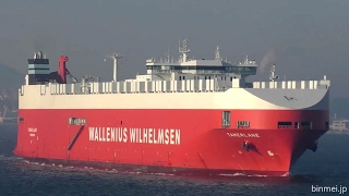 TAMERLANE  Wilhelmsen Lines vehicles carrier  2017 [upl. by Salamone352]