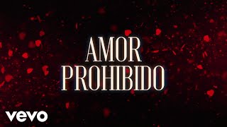 Grupo Bryndis  Amor Prohibido LETRA [upl. by Atiragram555]