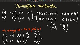 Inmultirea matricelor de ordin 2 3 diferit cu un numar clasa 11 exercitii Invata Matematica Usor [upl. by Atinehc]