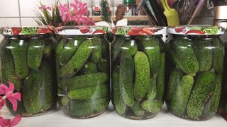 ZIMNICA  kiseli krastavčići očas posla ❕🫙 🥒 [upl. by Yemane356]