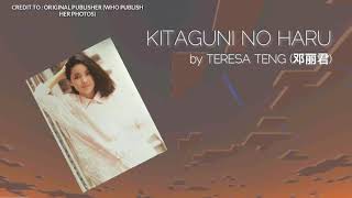 Teresa Teng 邓丽君  Kitaguni No Haru Lyrics北国の春 [upl. by Htenek]