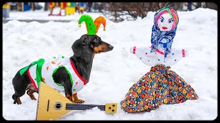 How DOG celebrate Russian Maslenitsa Cute and funny animal video [upl. by Dove]