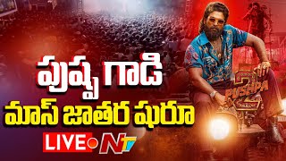 Fans Celebrations LIVE  Pushpa 2 Premiere Show Review  Ntv [upl. by Nuahsel75]