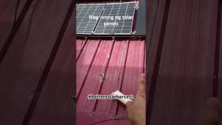 OFFGRID SOLAR  NAGURONG NG SOLAR PANELS  bettersolarharvest [upl. by Romaine]