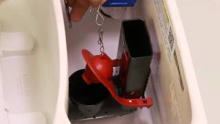 Fix a Running Toilet  How to Replace a Toilet Flapper [upl. by Leiahtan559]