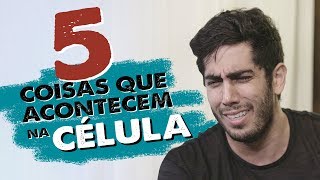 5 Coisas que acontecem na CÉLULA  DESCONFINADOS Erros no final [upl. by Yzzik]