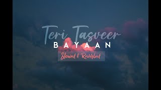 Teri Tasveer  Slowed amp Reverbed  SlowedSoul [upl. by Suirradal]