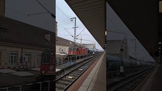 Re44² Re420 2677 SBB CARGO sbbcargo re44 oldlocomotive trainspotting shorts yt [upl. by Ia370]